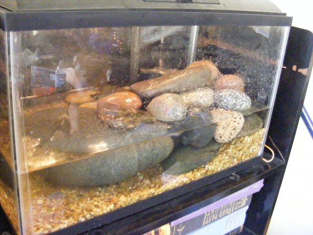 tank2.JPG