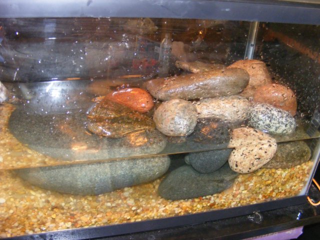 tank4.JPG
