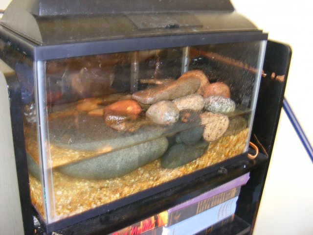 tank5.JPG