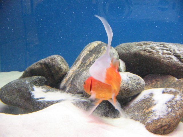 IMG_0010.JPG