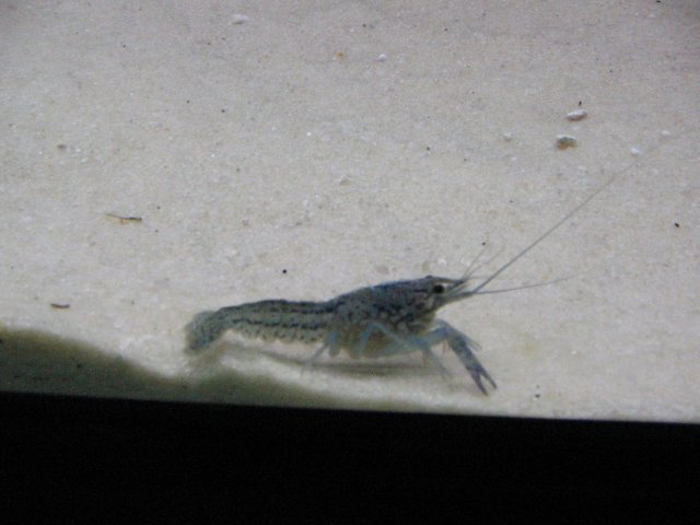 IMG_0002.JPG