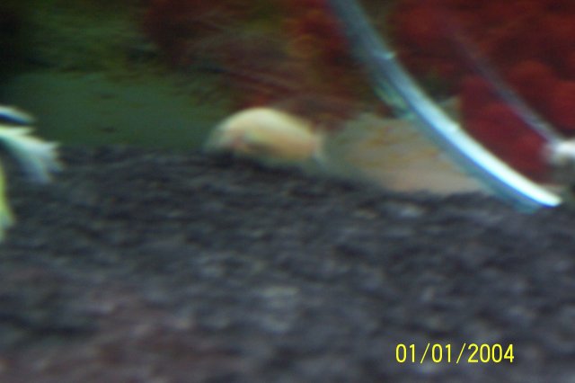 100_0886.JPG