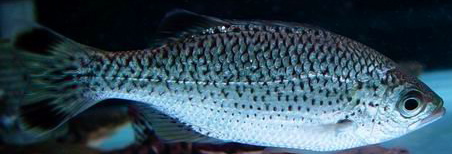 DSC05650.JPG