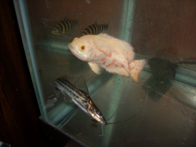 DSCN0292.JPG