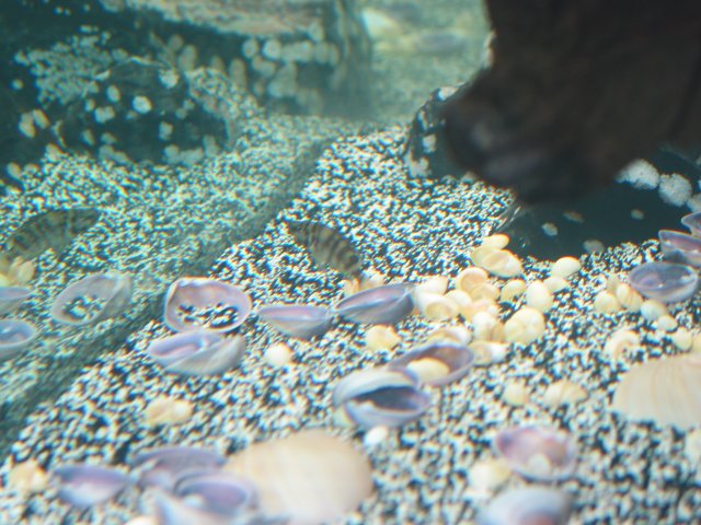 102-0230_IMG.JPG
