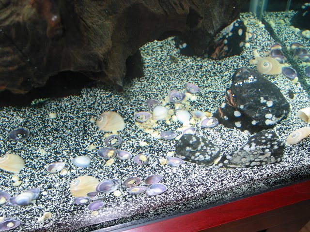 102-0231_IMG.JPG