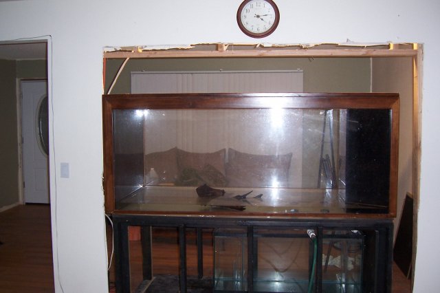 100_8847.JPG
