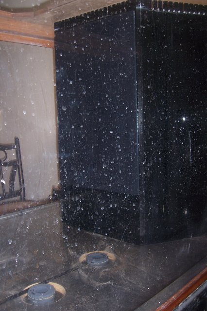 100_8856.JPG