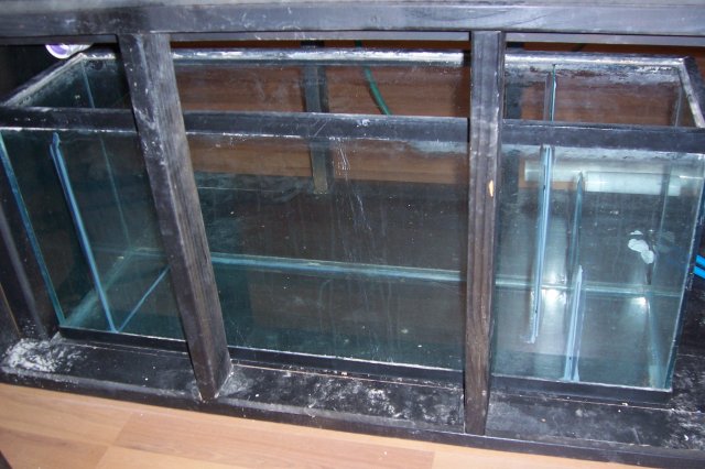 100_8853.JPG
