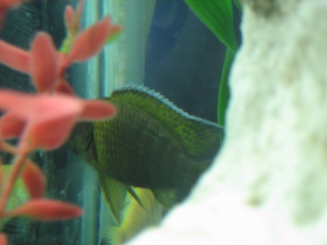 IMG_0023.JPG