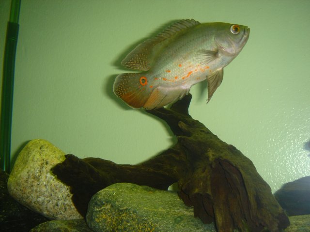 DSC05833.JPG