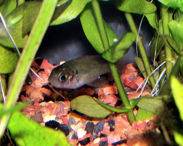 100_3787.jpg
