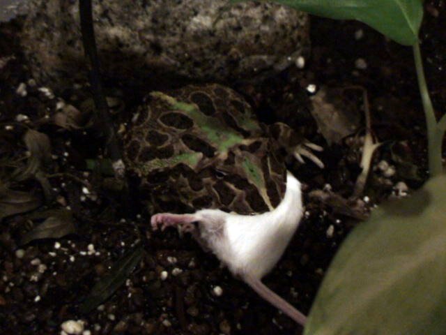 DSC00838.JPG DSC00838.JPG