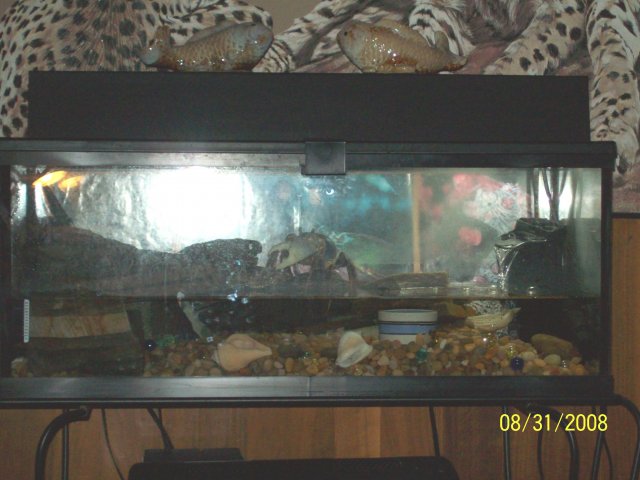 fish store 022.jpg