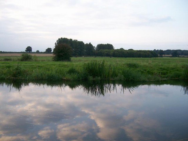 100_0555.jpg 100_0555.jpg