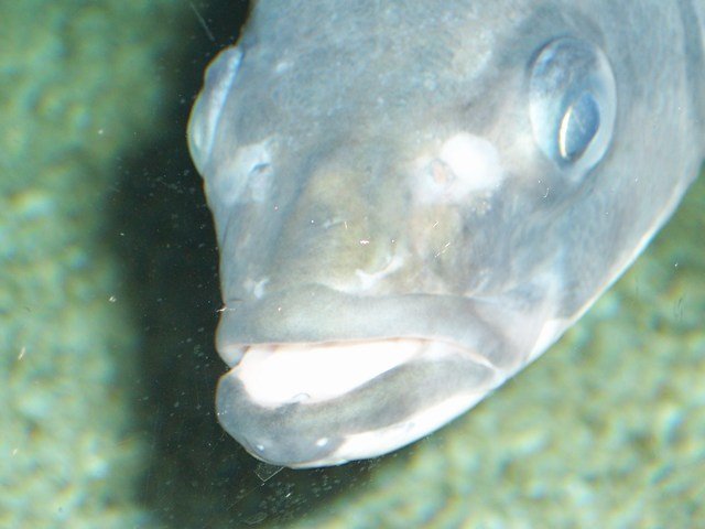 100_2378.JPG