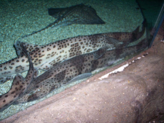 100_2396.JPG