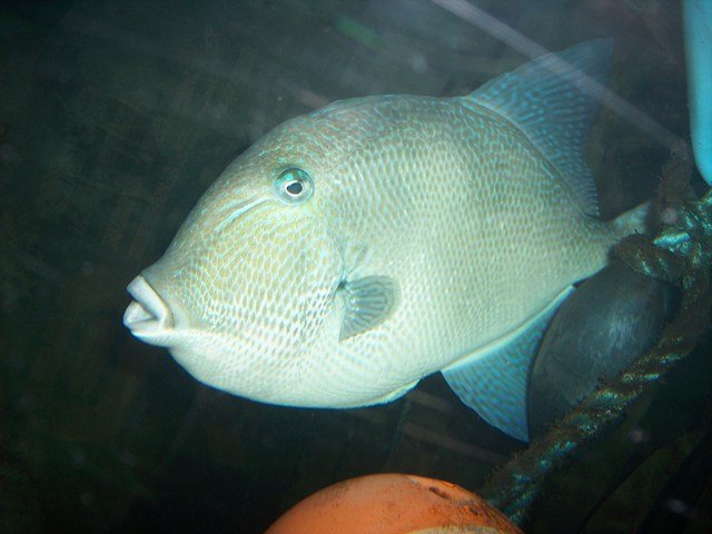 100_2400.JPG