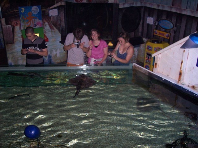 100_2410.JPG