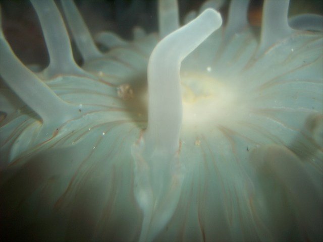 100_2414.JPG