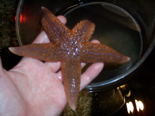 100_2428.JPG