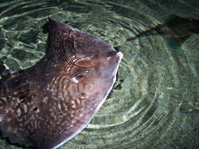 100_2434.JPG