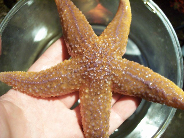 100_2439.JPG