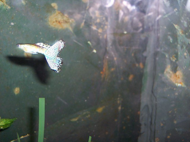 100_2456.JPG