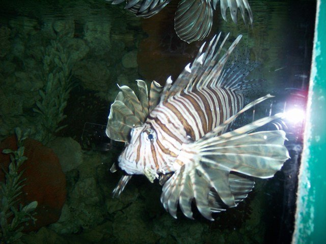 100_2461.JPG