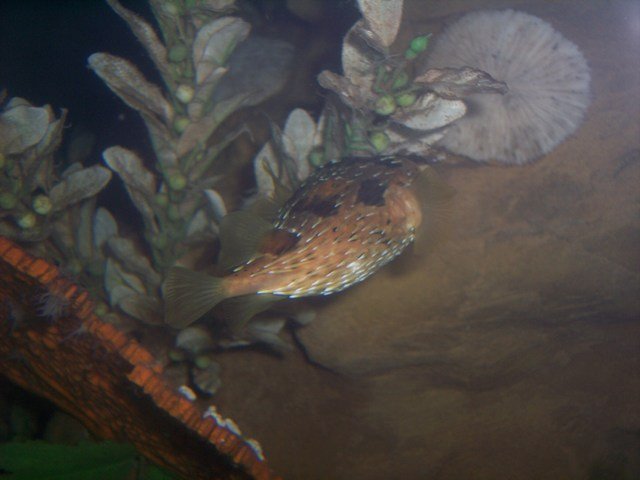 100_2480.JPG