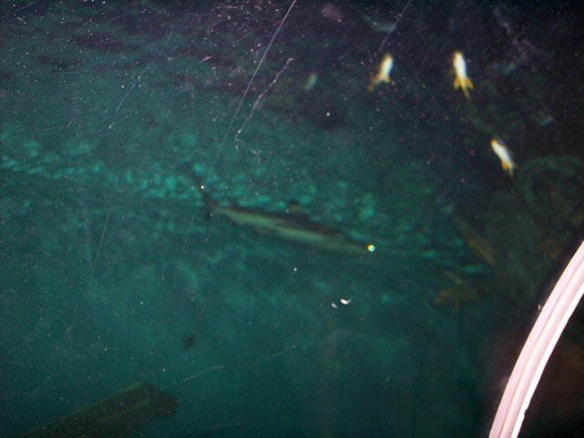 100_2488.JPG