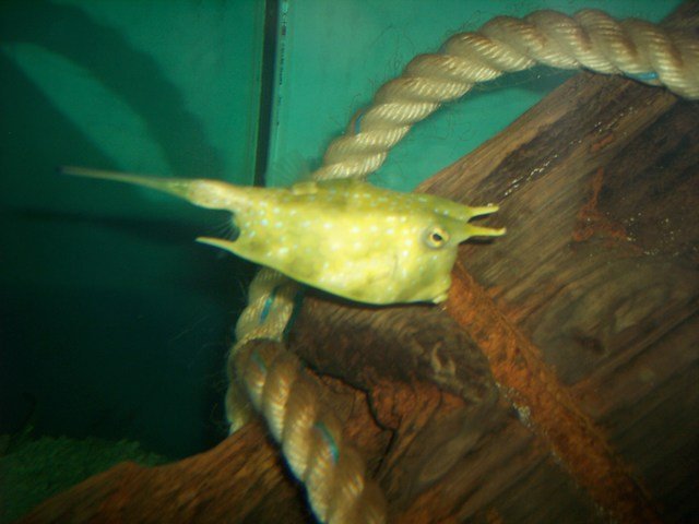 100_2492.JPG
