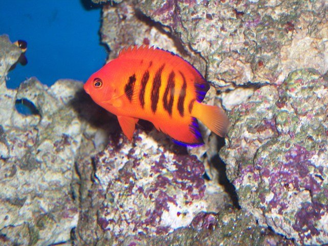 100_2495.JPG
