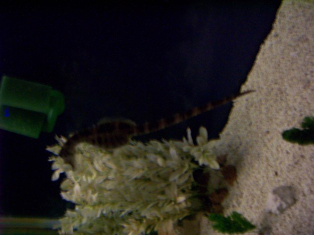 100_2504.JPG