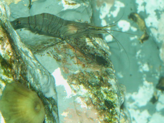PICT2483.JPG