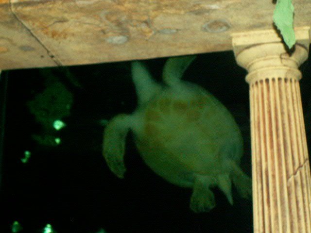 PICT2519.JPG