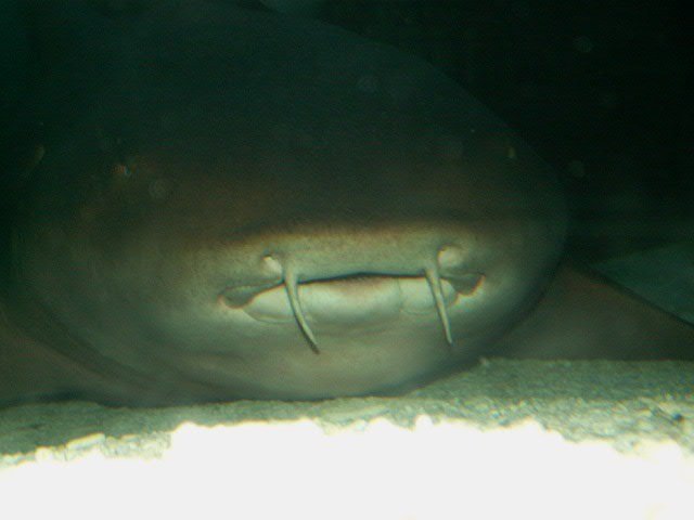 PICT2527.JPG