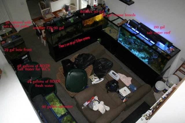 AllTanks9of08.jpg