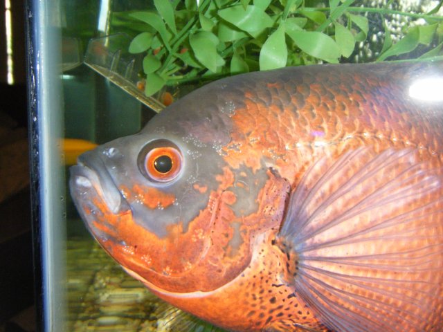DSCF2631.JPG