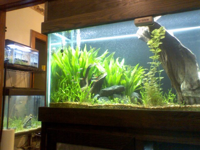 tank update.jpg