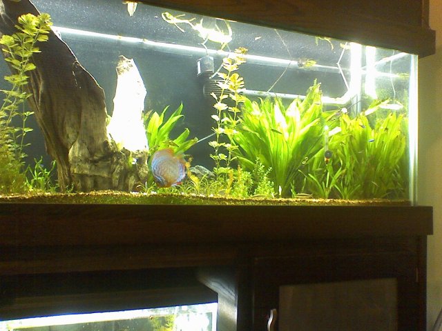 tank update 001.jpg