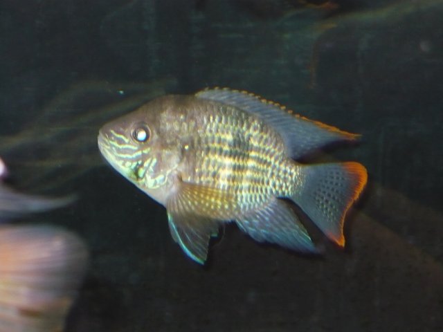 August '08 247.jpg