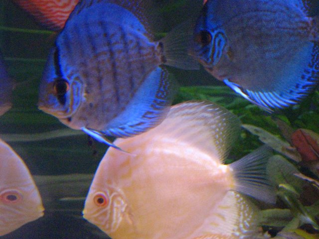 IMG_3872.jpg