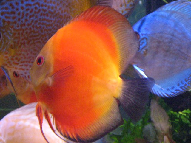 IMG_3856.jpg