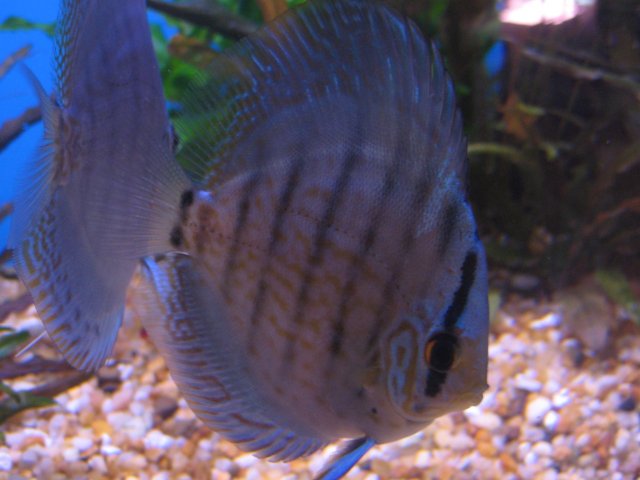 IMG_3734.jpg