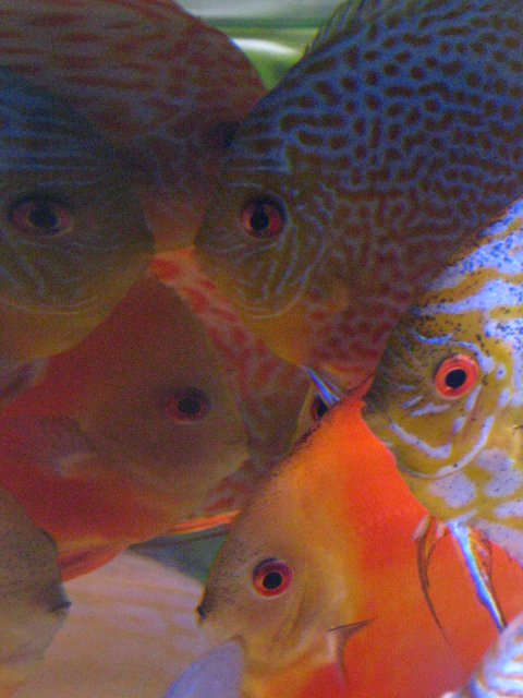 IMG_3871.jpg