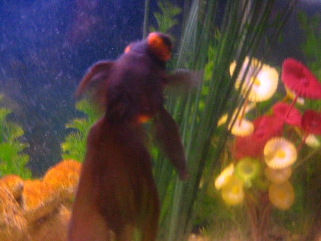 IMG_1542.JPG IMG_1542.JPG