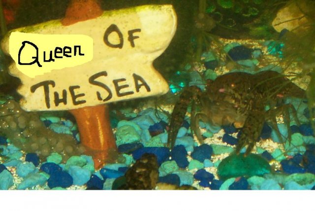 Queen of the Sea 09-08.JPG