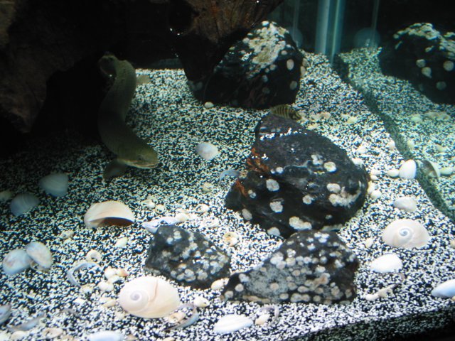102-0250_IMG.JPG