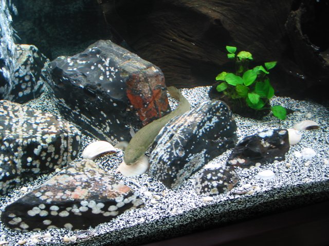 102-0260_IMG.JPG